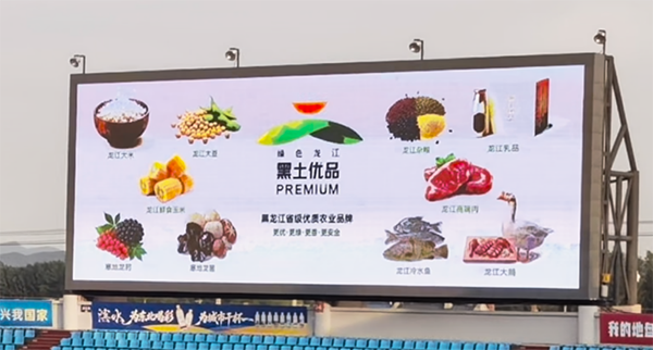 微信图片_2026-06-16_101428_670.png