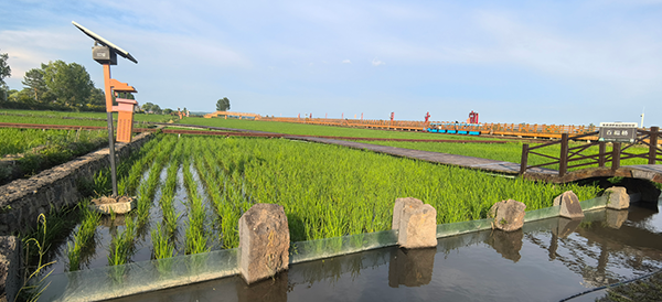 微信图片_2026-07-21_151848_551.png