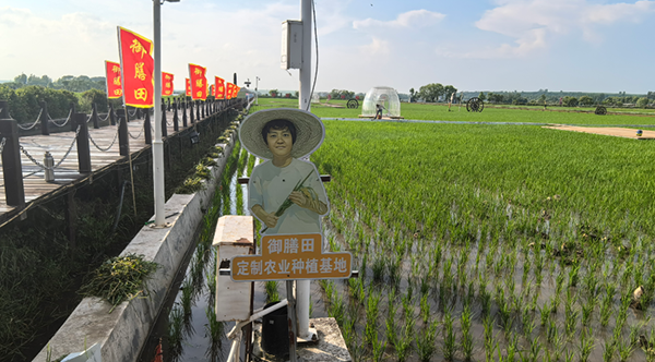 微信图片_2026-07-29_083912_978.png